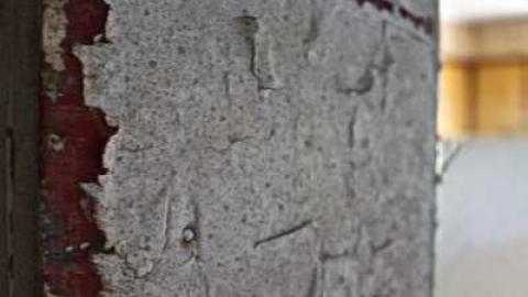 What the Truck? - Truck-Farm31.jpg