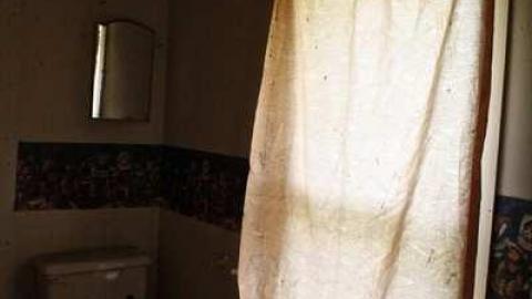 What the Truck? - Truck-Farm32.jpg