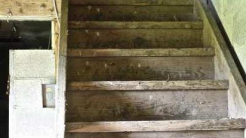 Photo from Overgrown.