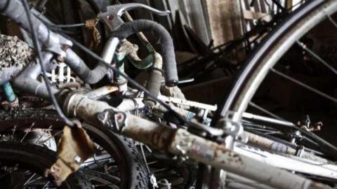 Overgrown. - Old-House--Barns74.jpg