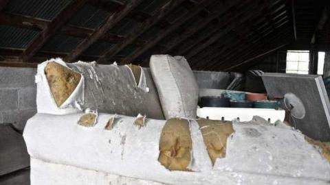 Overgrown. - Old-House--Barns76.jpg