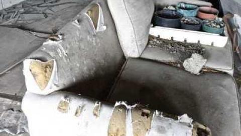 Overgrown. - Old-House--Barns56.jpg