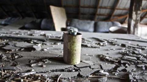 Overgrown. - Old-House--Barns77.jpg