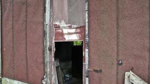 Overgrown. - Old-House--Barns60.jpg