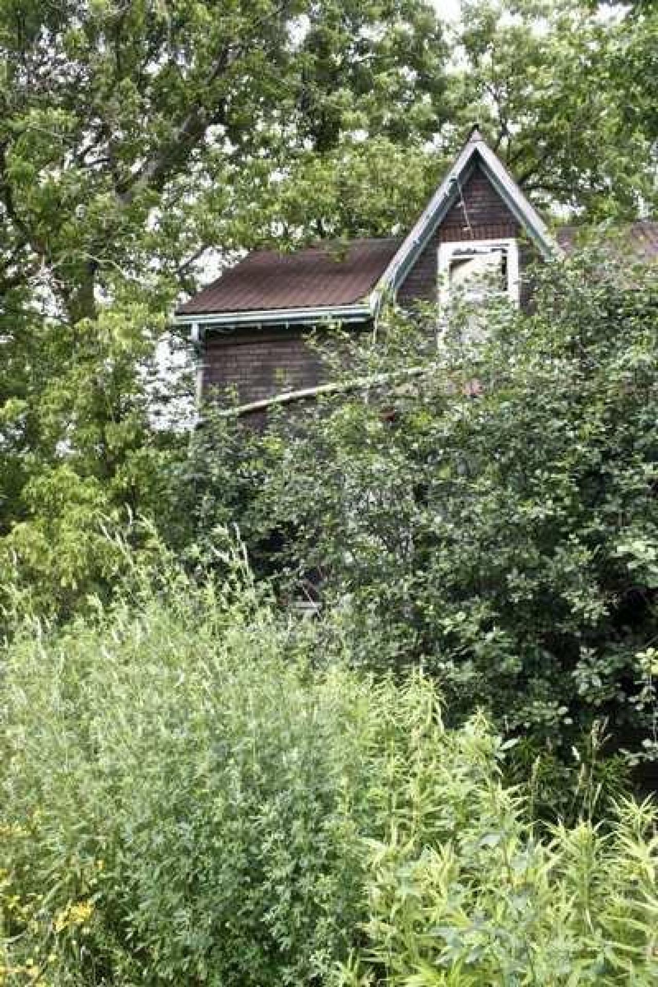 Overgrown. - Old-House--Barns69.jpg