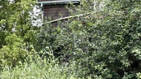 Overgrown. - Old-House--Barns69.jpg