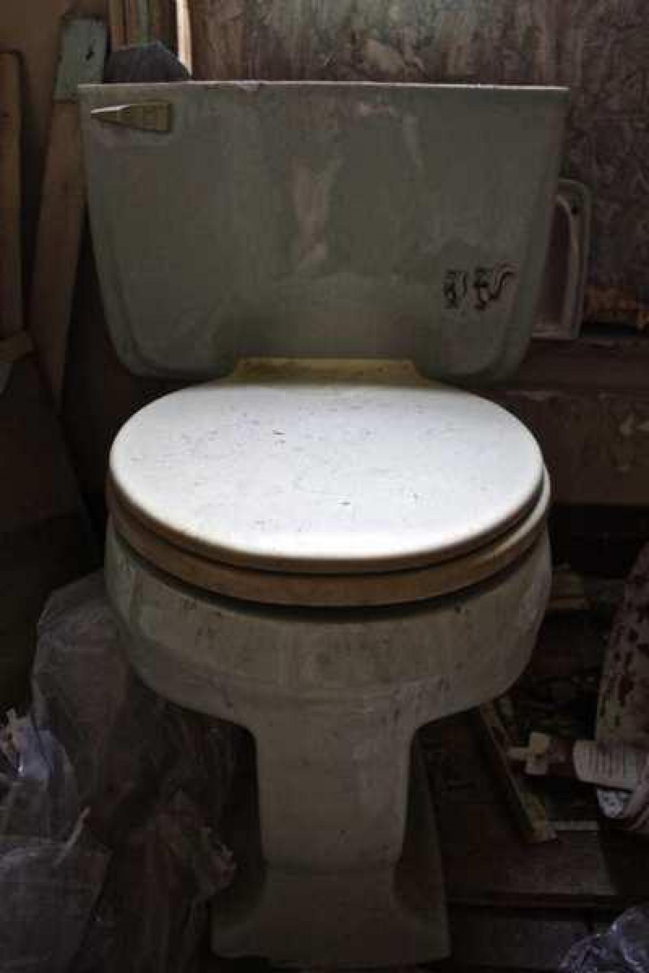 Overgrown. - Old-House--Barns63.jpg