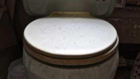 Overgrown. - Old-House--Barns63.jpg