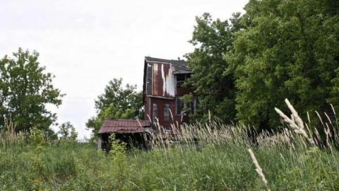 Overgrown. - Old-House--Barns72.jpg