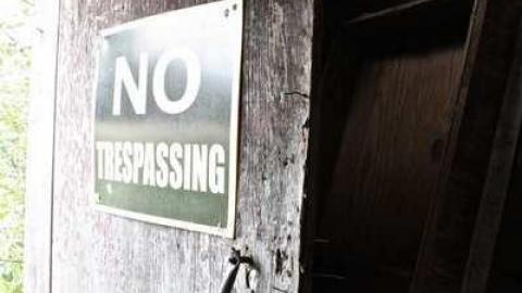 Overgrown. - Old-House--Barns80.jpg