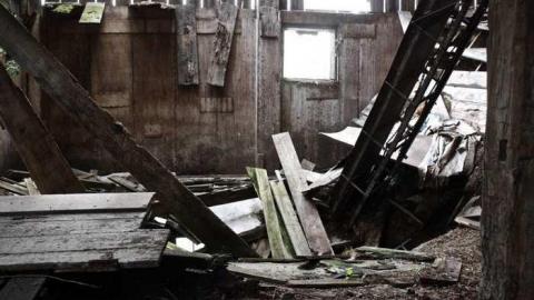 Overgrown. - Old-House--Barns65.jpg