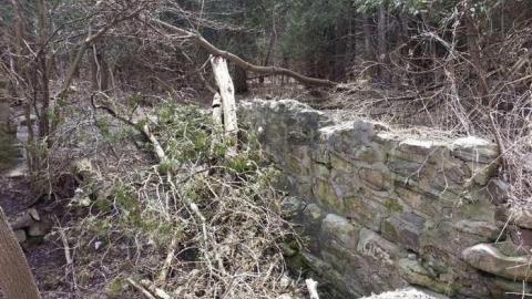 Photo from Twyn Rivers Old Foundation