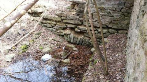 Photo from Twyn Rivers Old Foundation