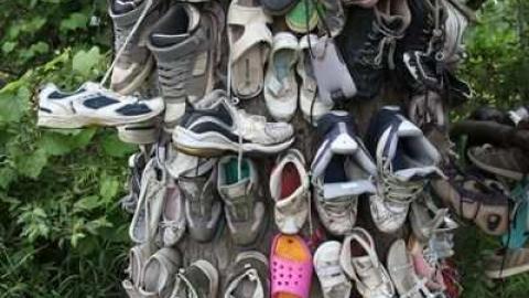 The Great Shoe Tree - Brant, Ontario
