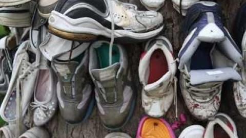 The Great Shoe Tree photo 3