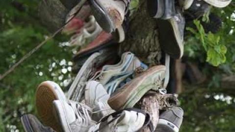 Lot of Sole - The-Great-Shoe-Tree11.jpg