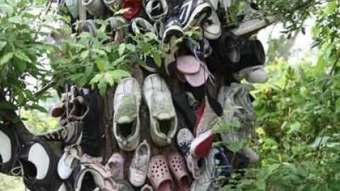 Lot of Sole - The-Great-Shoe-Tree12.jpg