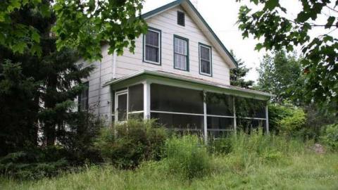 Jersey Canada - The Patch Farm - Vaughan, Ontario