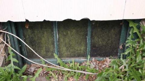 Munshaw House Included - IMG_6269.jpg