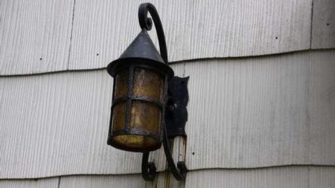 Jersey Canada - The Patch Farm photo 4