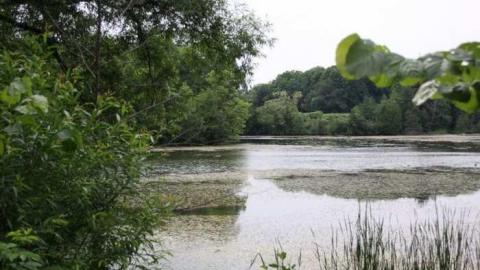 Munshaw House Included - IMG_6311.jpg