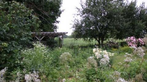 Munshaw House Included - IMG_6338.jpg