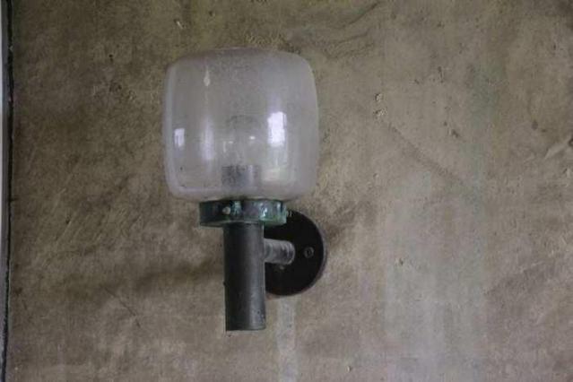 Jersey Canada - The Patch Farm photo 5