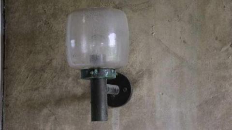 Jersey Canada - The Patch Farm photo 5