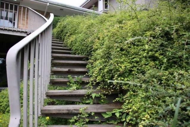 Jersey Canada - The Patch Farm photo 2