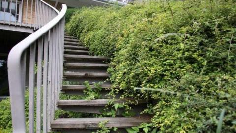 Jersey Canada - The Patch Farm photo 2