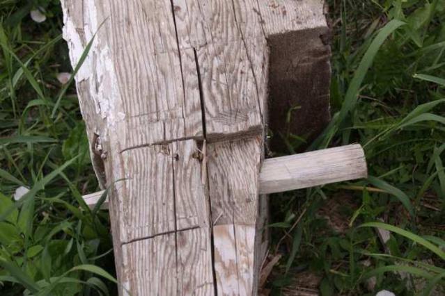 Jersey Canada - The Patch Farm photo 3