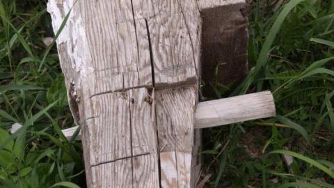 Jersey Canada - The Patch Farm photo 3