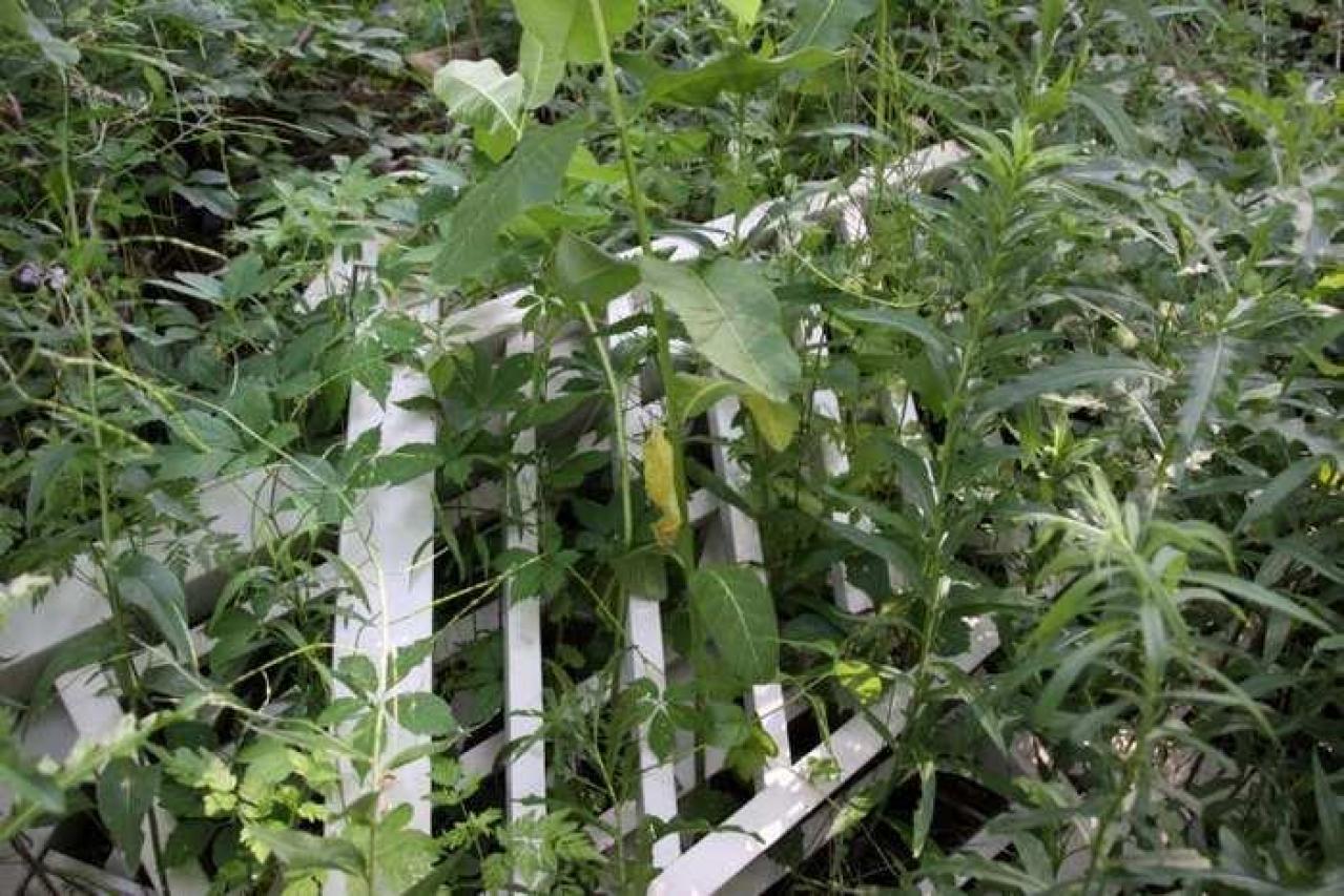 Square - IMG_6239.jpg