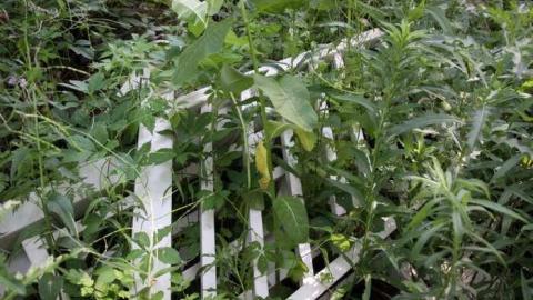 Square - IMG_6239.jpg