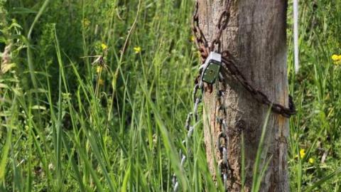 Square - IMG_6241.jpg