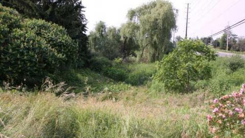 Square - IMG_6249.jpg