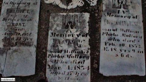 Ridgetown's founders - Shewburg-Pioneer-Cemetery26.jpg