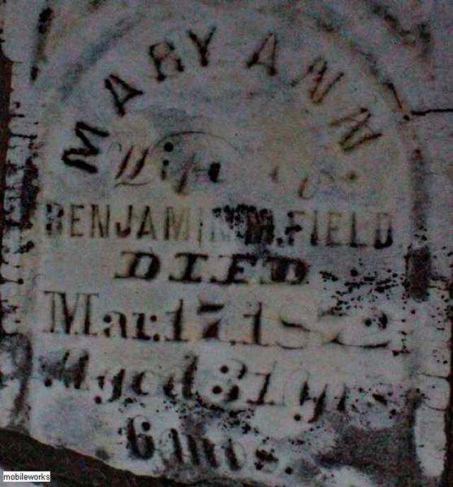 Shewburg Pioneer Cemetery photo 4