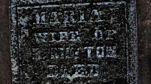 friends of the Shewburgs - Scane-Pioneer-Cemetery16.jpg