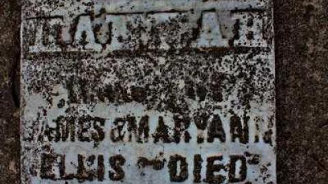 friends of the Shewburgs - Scane-Pioneer-Cemetery2.jpg