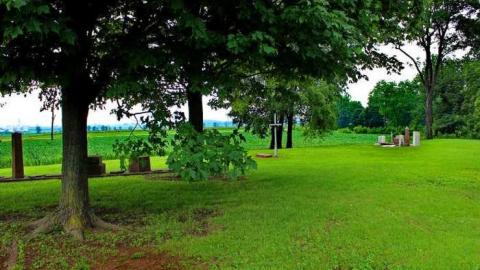 friends of the Shewburgs - Scane-Pioneer-Cemetery13.jpg