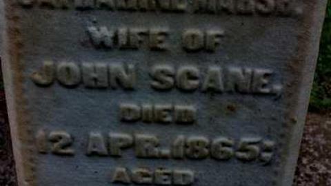 friends of the Shewburgs - Scane-Pioneer-Cemetery6.jpg