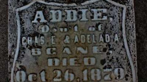 friends of the Shewburgs - Scane-Pioneer-Cemetery7.jpg