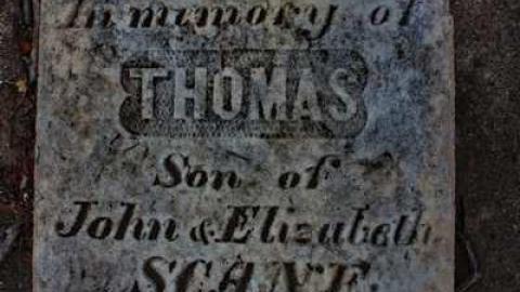 friends of the Shewburgs - Scane-Pioneer-Cemetery15.jpg