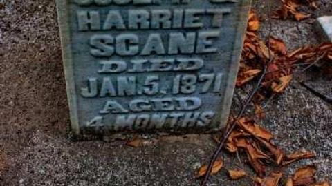 friends of the Shewburgs - Scane-Pioneer-Cemetery9.jpg