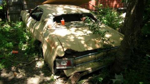 Summer exploring - DSCN1418.jpg