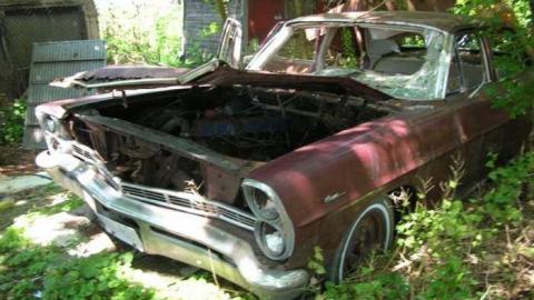 Summer exploring - DSCN1422.jpg