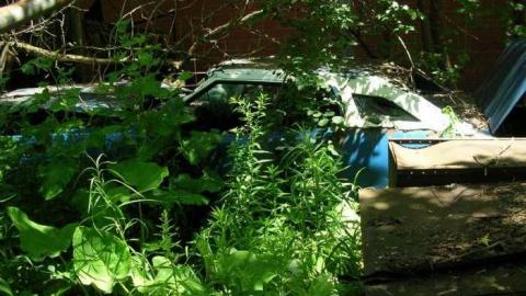 Summer exploring - DSCN1425.jpg