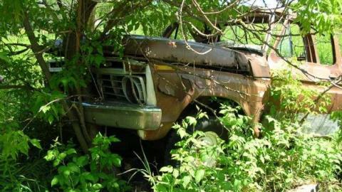 Summer exploring - DSCN1427.jpg