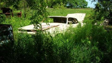 Summer exploring - DSCN1429.jpg